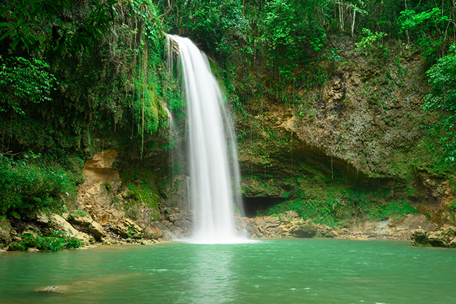 Discover hidden waterfalls deep in jungles