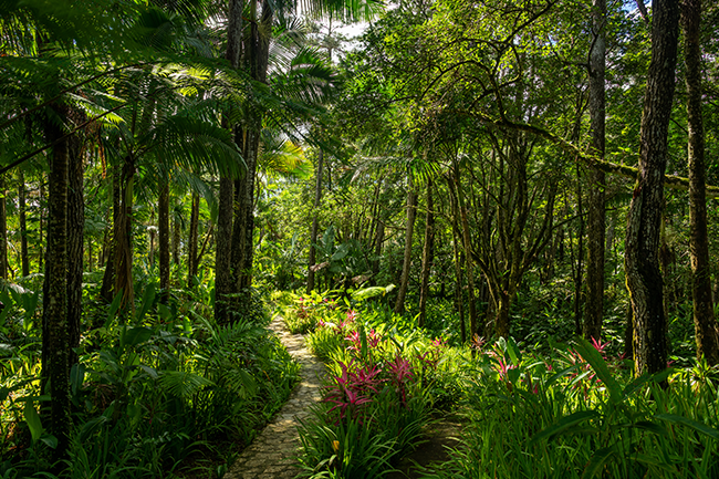 Experience nature in its purest form